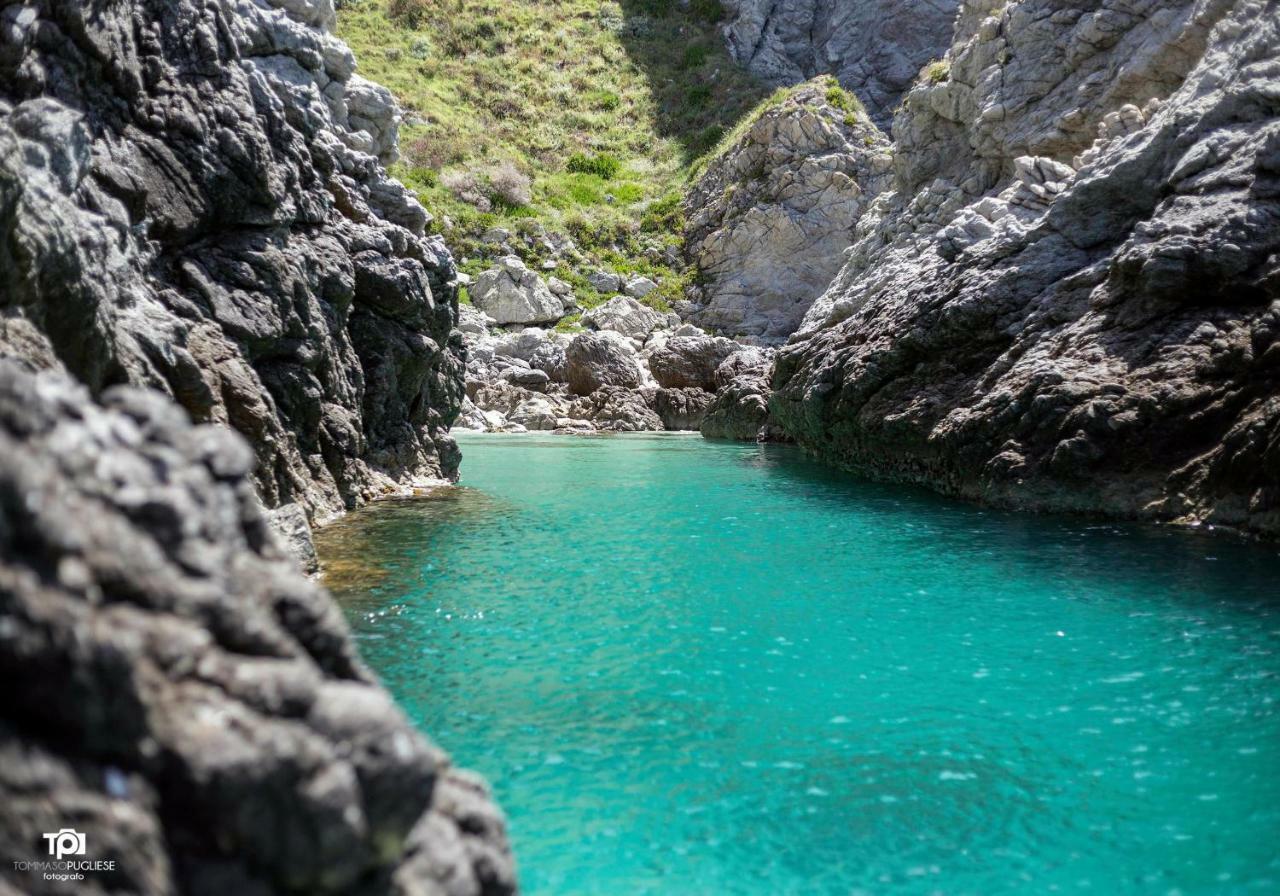 Villa Alice Capo Vaticano Buitenkant foto